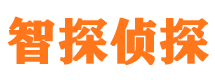 盐津寻人公司